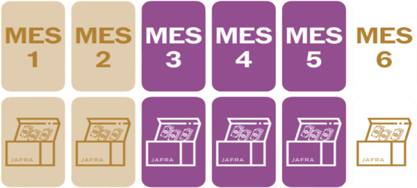 6 meses